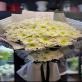 Beyaz Kasıpatı Demeti