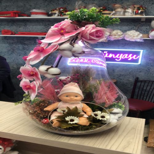 Büyük Boy Kız Bebek Teraryum